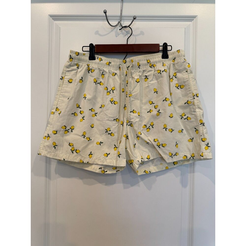Zara Man Lemons Print Swim Trunks / Briefs NWOT Men’s XL - Picture 3 of 6
